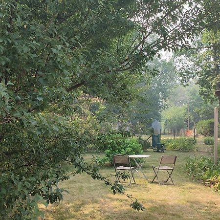 Chalet Dans La Foret....Adorable 1 Bedroom Chalet Surrounded By Woodland Pressignac 外观 照片